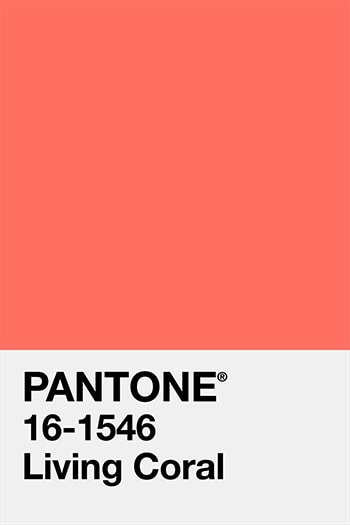Pantone Vivid coral Farbe