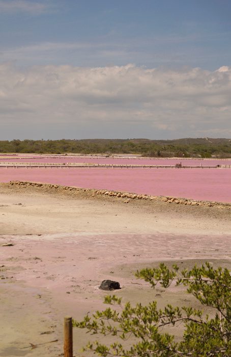 Rosarotes Wasser in Salzpfannen i Cabo Rojo