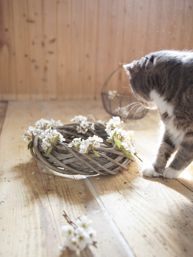 Katze und Blumenkranz am Bodenbelag