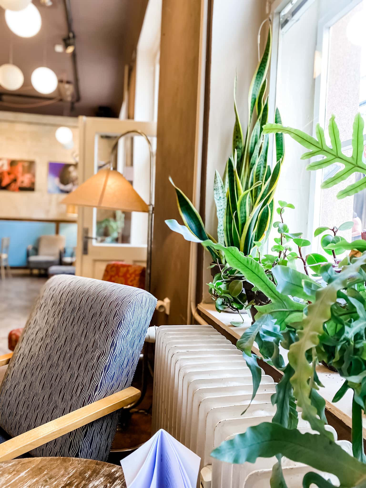 instagram-vennlige Caféene i Pilsen